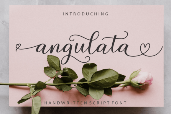 Angulata: A Modern Calligraphy Font That Feels Human