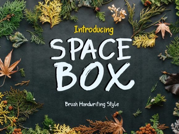 Space Box: The Script Amp Typeface for Dynamic Campaign Design